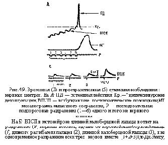 :
. 49.  ()   (5)    - .  :    , ."   ,     ,     
 ,    -  (16)     :
.
<br><br>
<br>
 :            ()  ,    
  (/),    (2),    (3),         (1+2+3) ( . )
